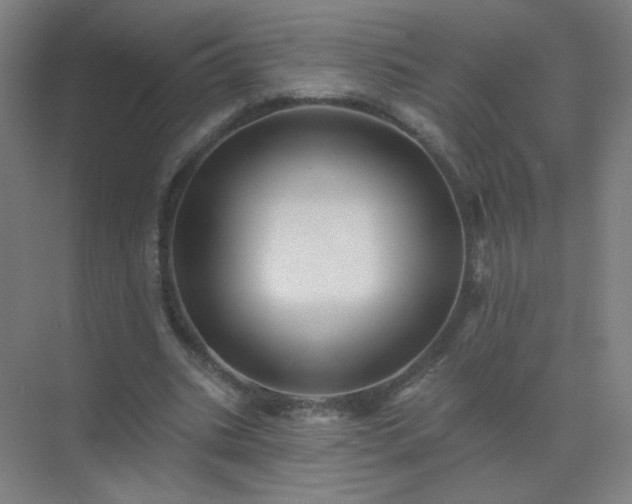 X0000072920535200607282114