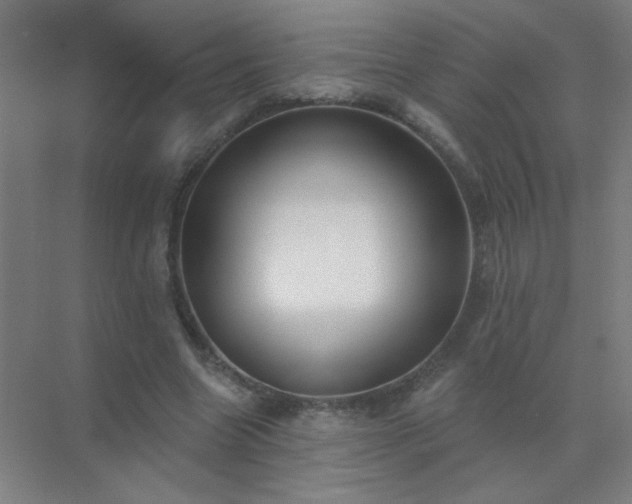X0000072920538200607282114