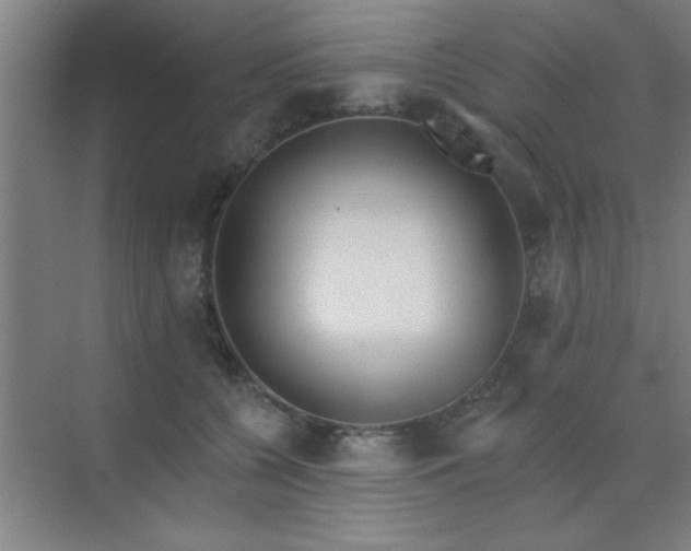 X0000072920560200607282114