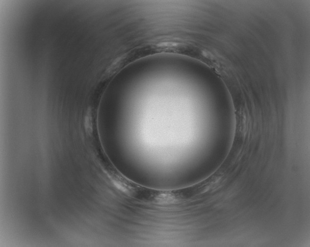 X0000072920562200607282114