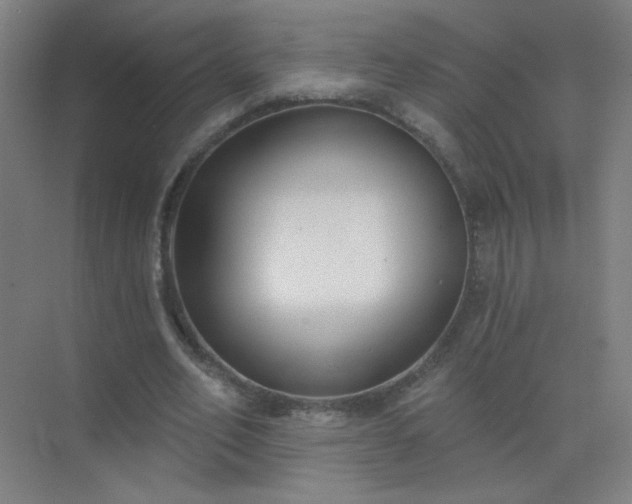 X0000072920582200607282114