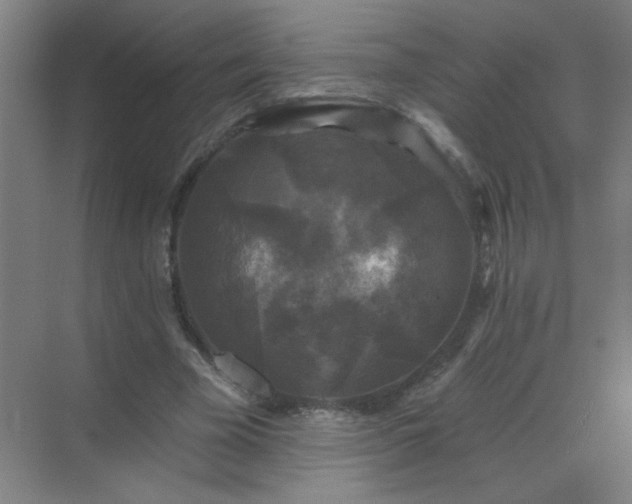 X0000072920585200607282114