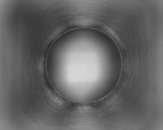 X0000072920586200607282113