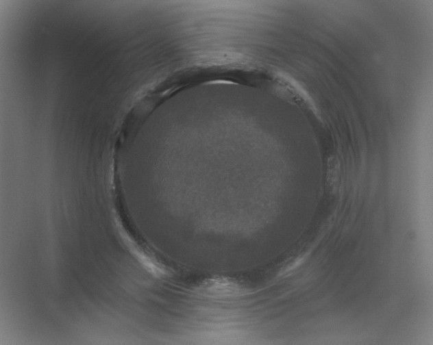 X0000072920589200607282113