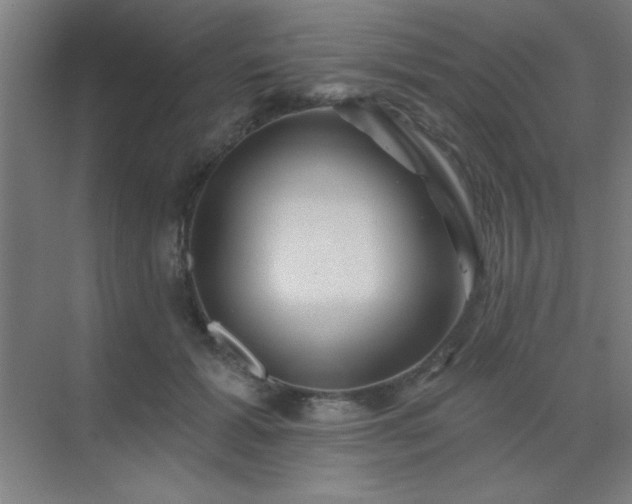 X0000072920605200607282113