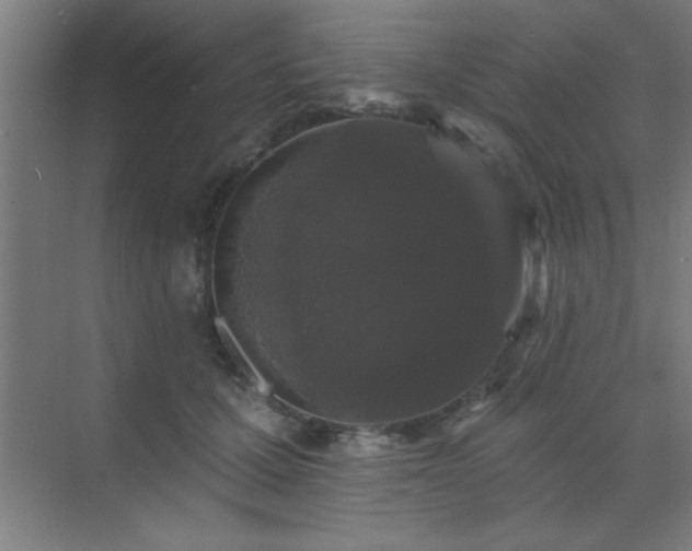 X0000072920607200607282113