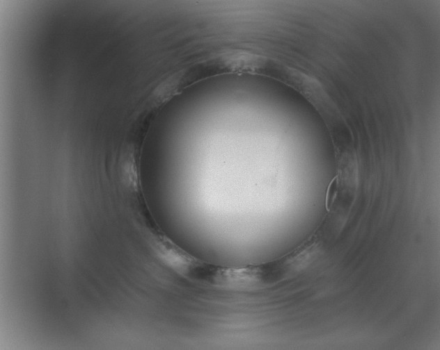 X0000072920622200607282113