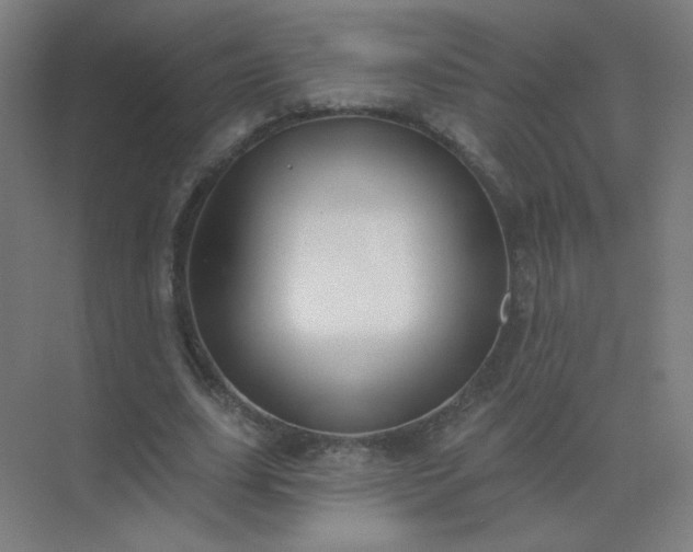 X0000072920631200607282112