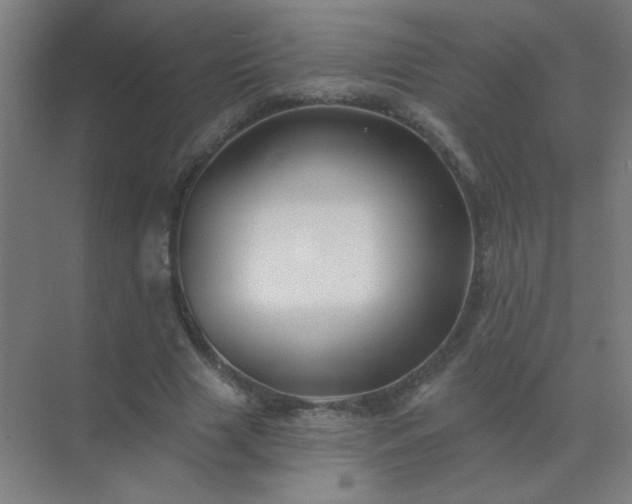 X0000072920633200607282112