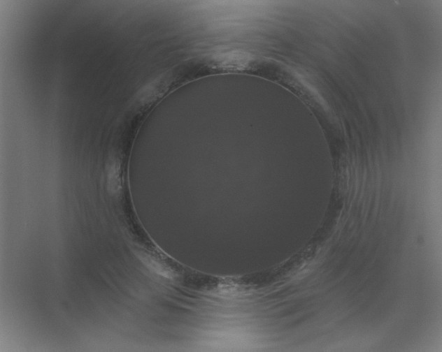 X0000072920641200607282112
