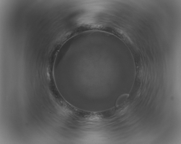 X0000072920643200607282112