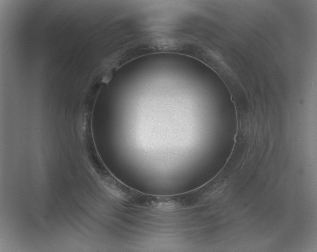 X0000072920645200607282112