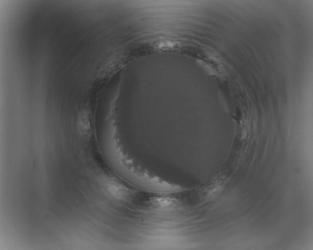 X0000072920654200607282113