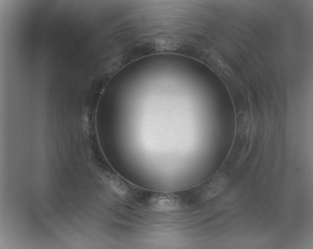 X0000072920655200607282113