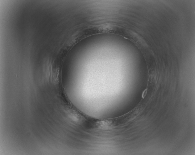 X0000072920660200607282113