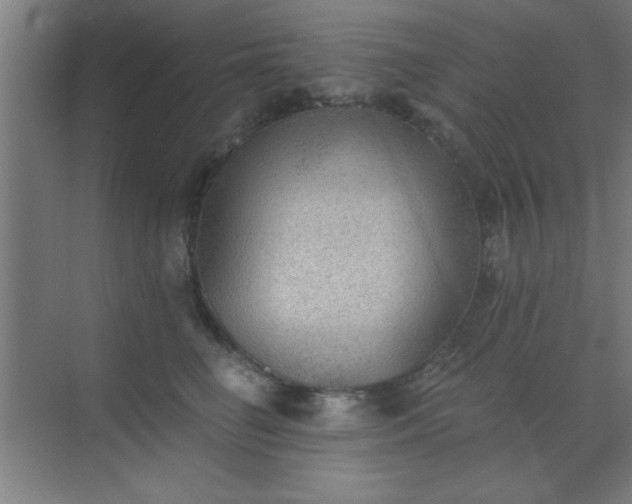 X0000072920662200607282113