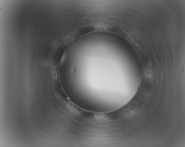 X0000072920666200607282113