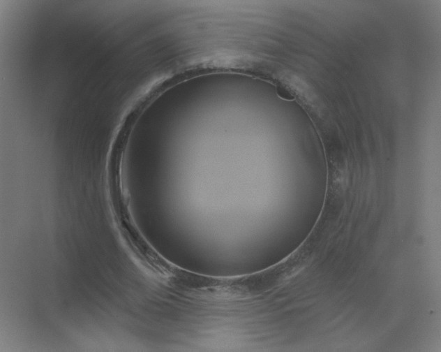 X0000072920678200607282112