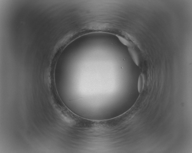 X0000072920682200607282112