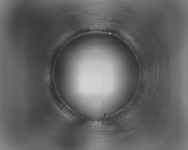 X0000072920687200607282112