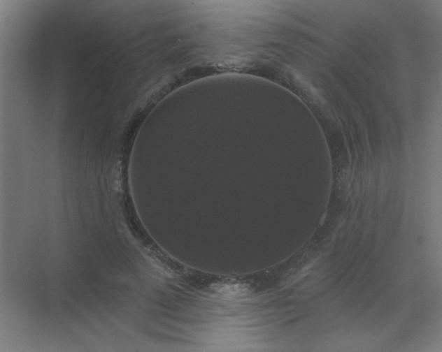 X0000072920689200607282112