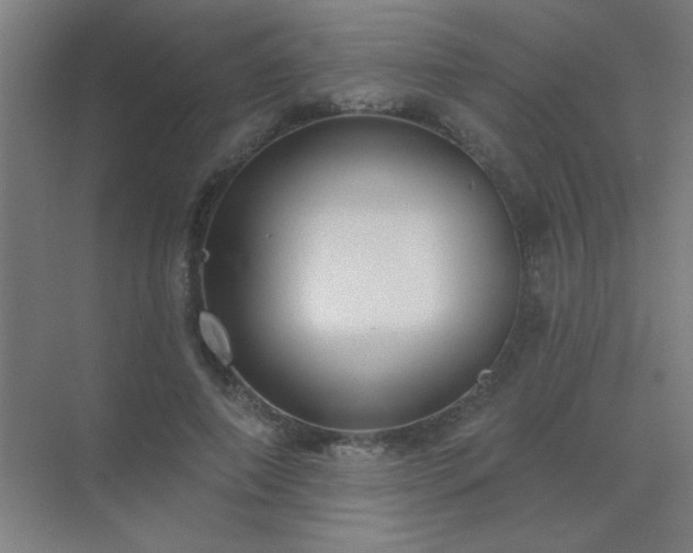 X0000072920690200607282112