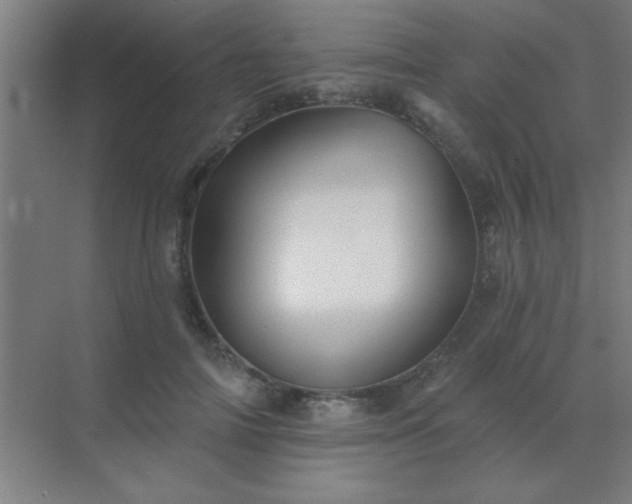 X0000072920698200607282112