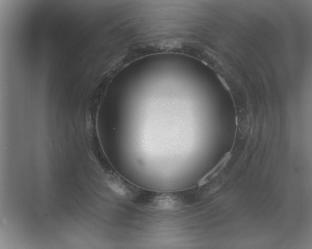 X0000072920704200607282111