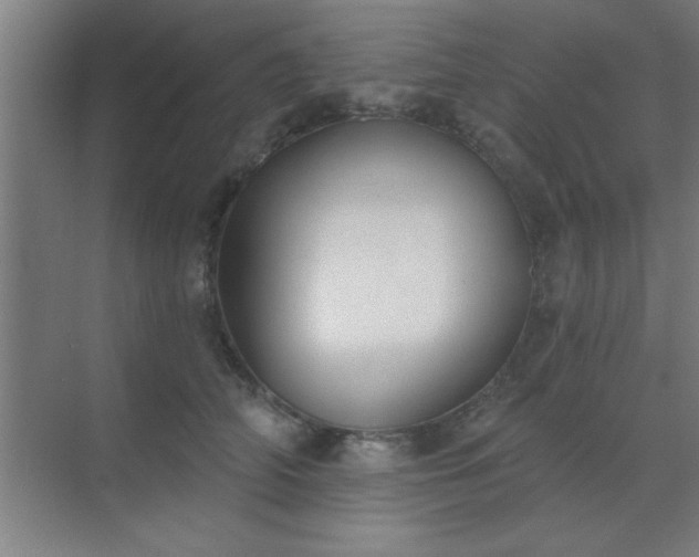 X0000072920706200607282111