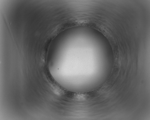 X0000072920710200607282111