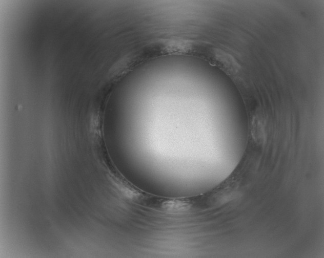 X0000072920714200607282111