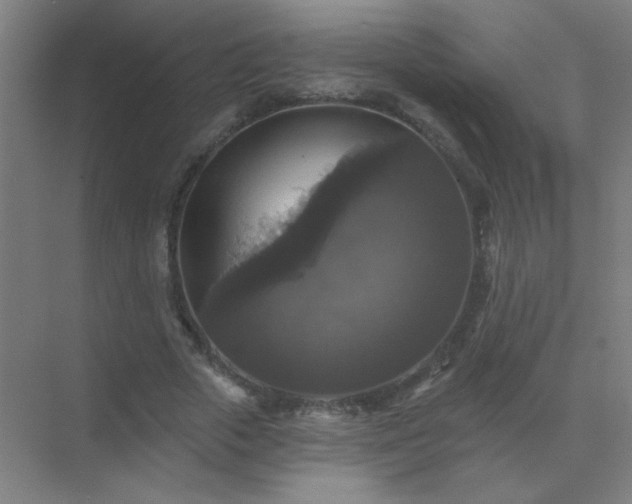 X0000072920729200607282111