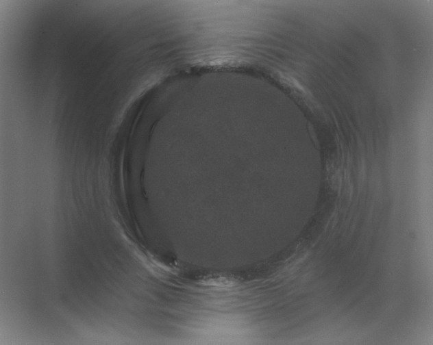 X0000072920735200607282111