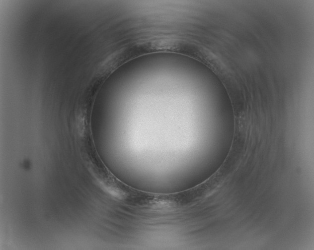 X0000072920741200607282111