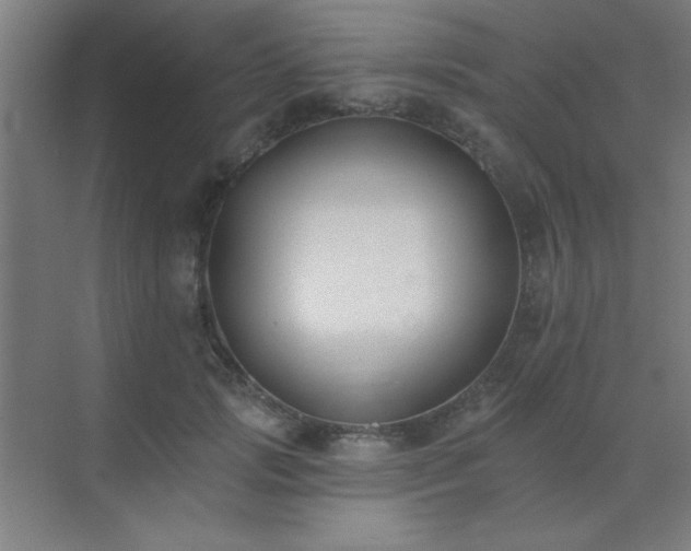 X0000072920749200607282111