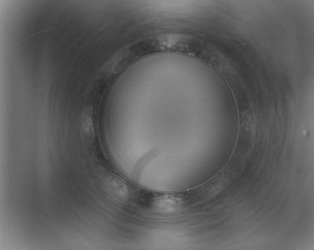 X0000072920754200607282111