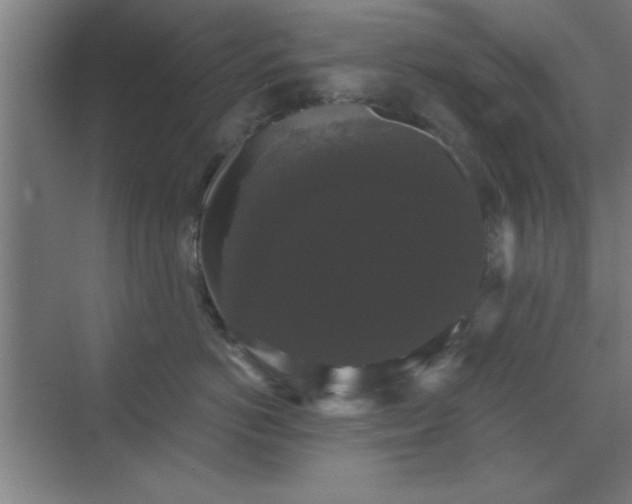 X0000072920766200607282111