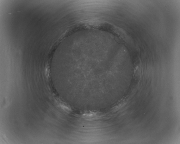 X0000072920772200607282110
