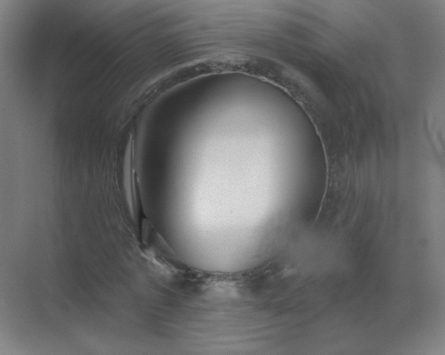X0000072920773200607282110
