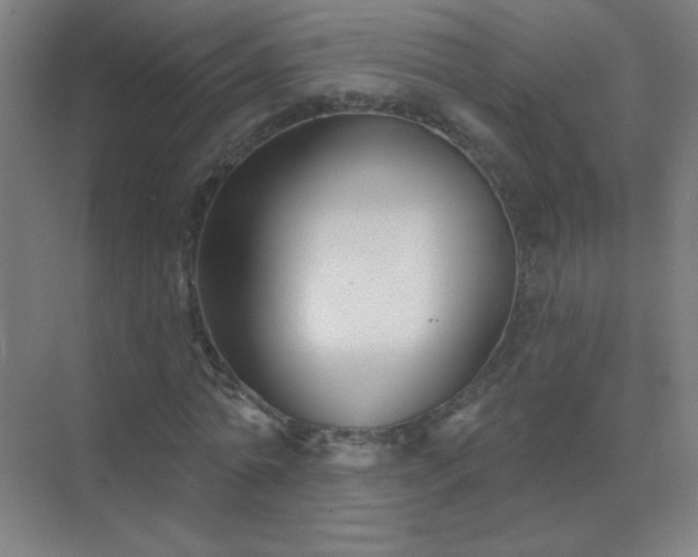 X0000072920774200607282110