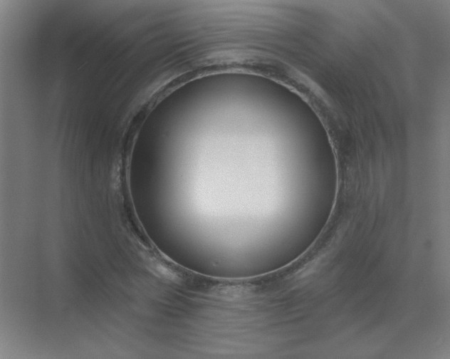 X0000072920778200607282110