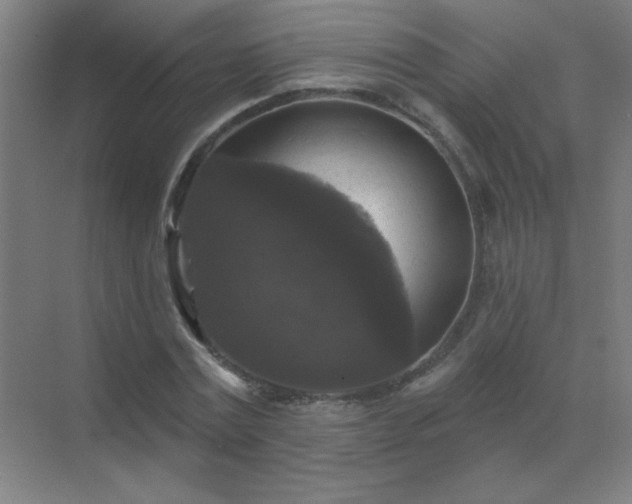 X0000072920779200607282110