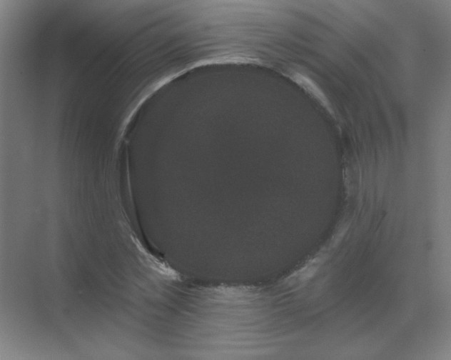 X0000072920781200607282110