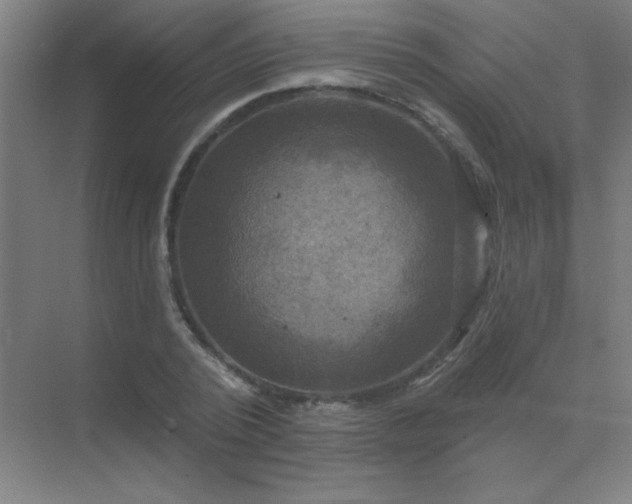 X0000072920784200607282110