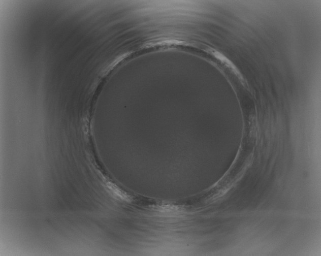 X0000072920785200607282110
