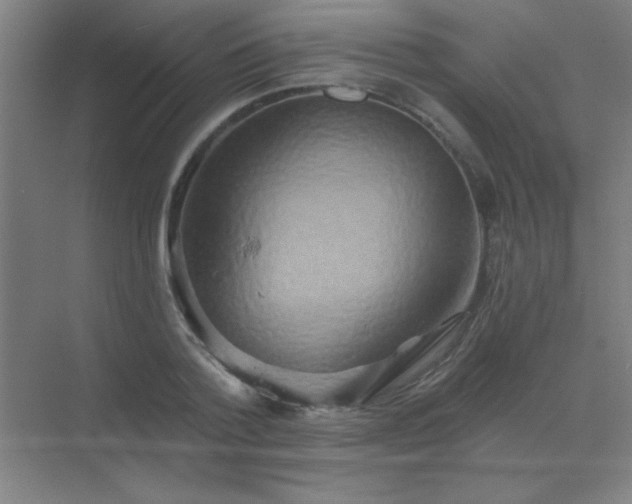 X0000072920788200607282110