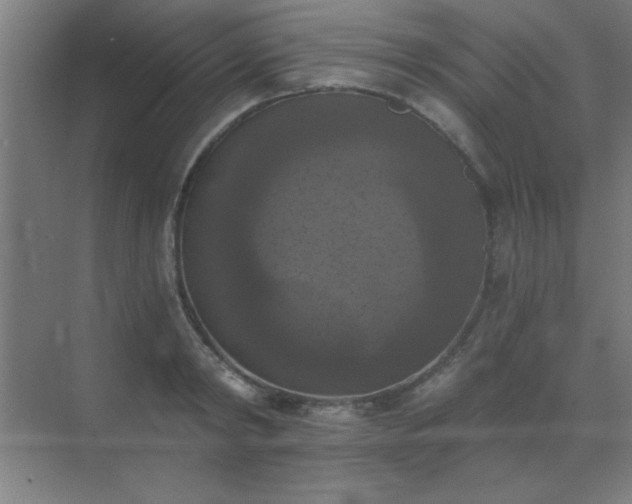 X0000072920798200607282110