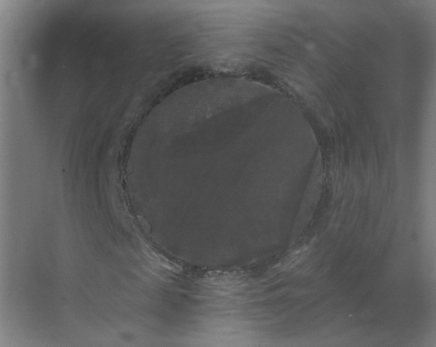 X0000072920817200607282109