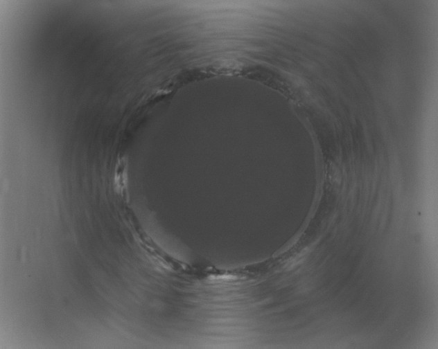 X0000072920818200607282109