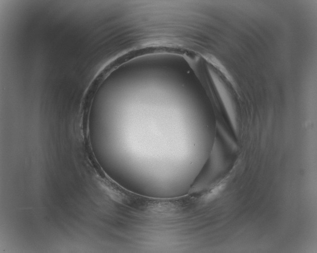 X0000072920830200607282109
